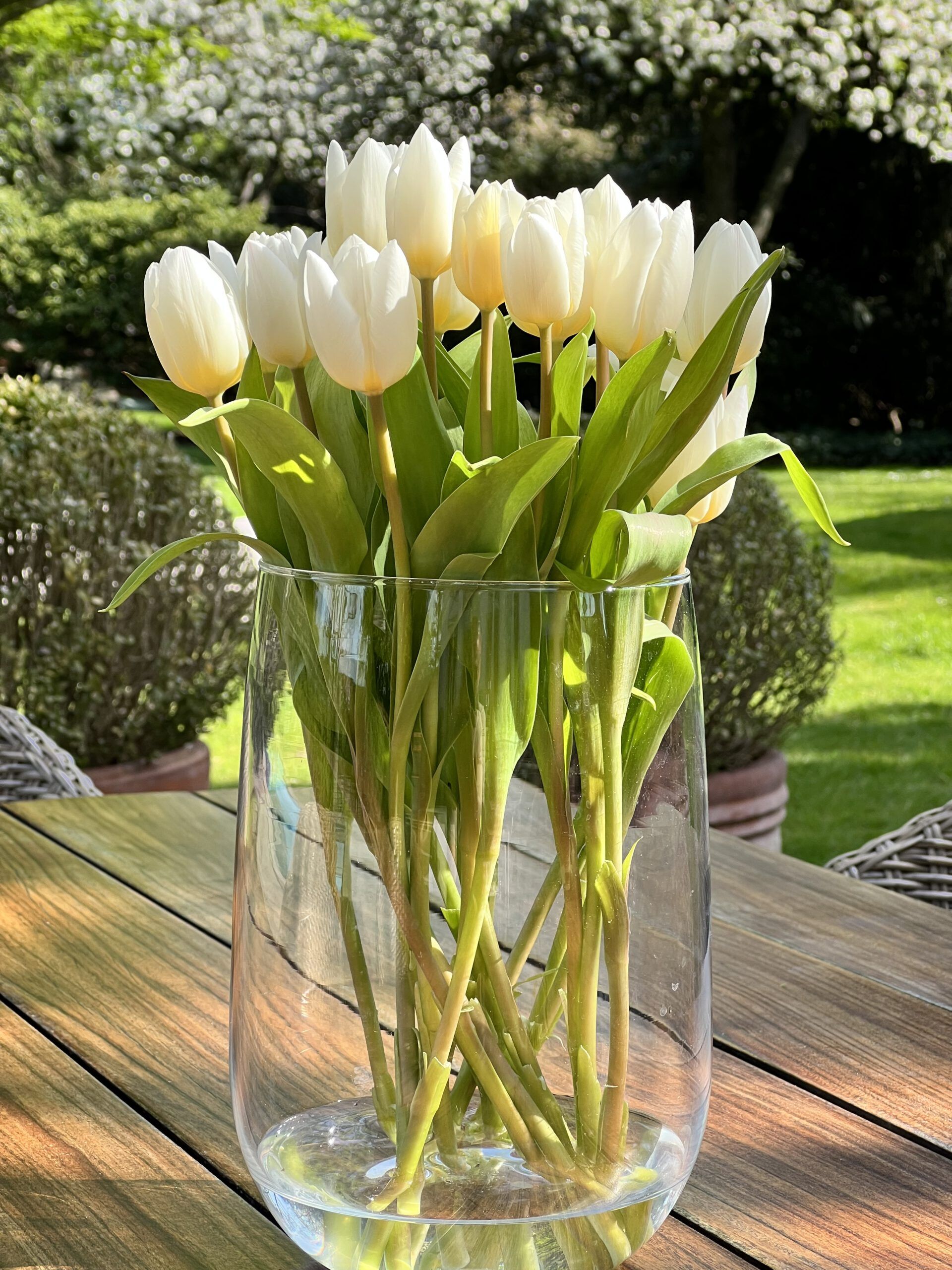 Impression Blumenstrauß draußen